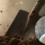 Tavaszi trükkök a kertben: három egyszerű áprilisi lépés meglepi az